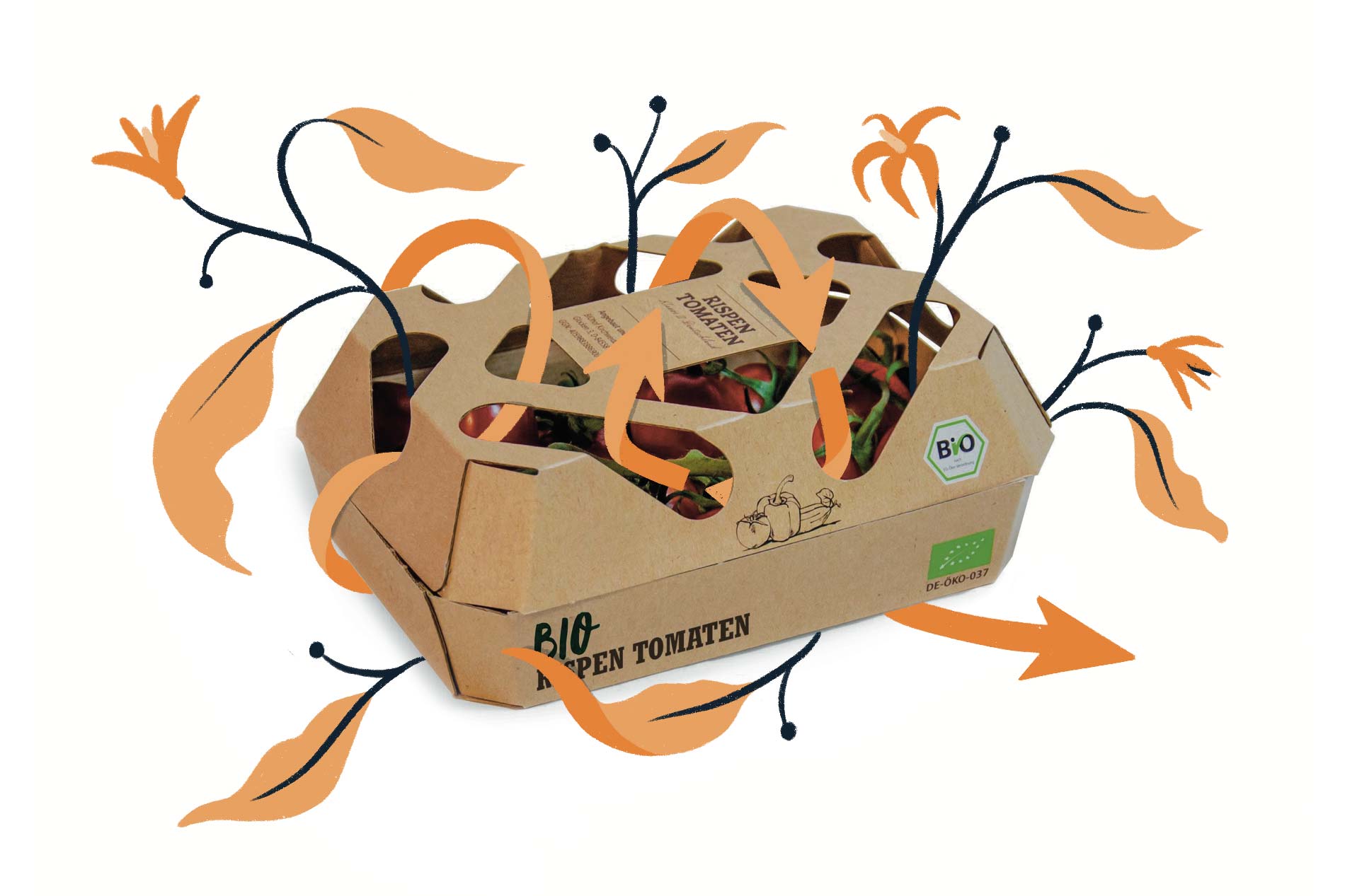 Packaging design sostenibile PPWR